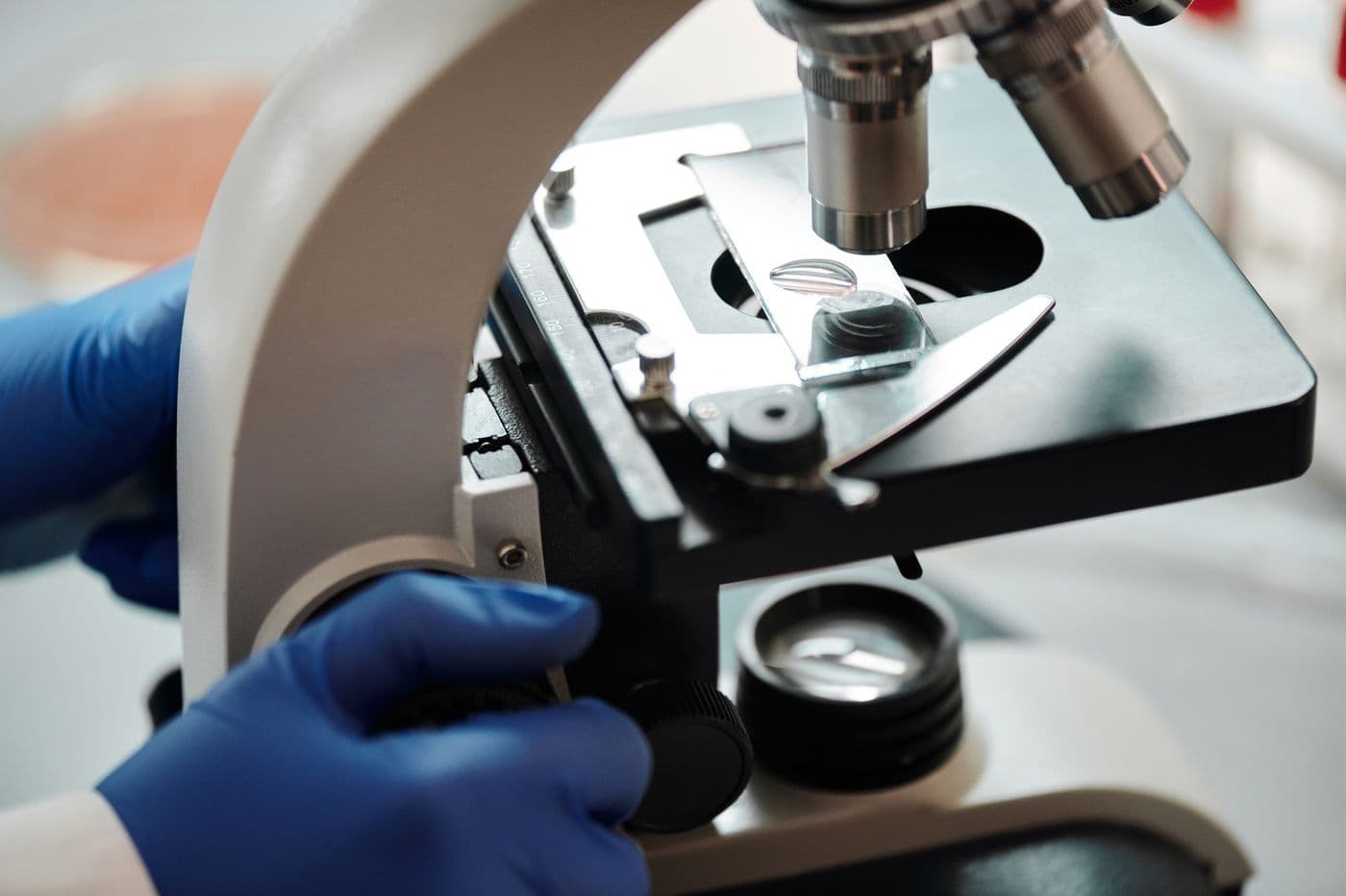 Gloved hands focusing a microscope on a glass slide